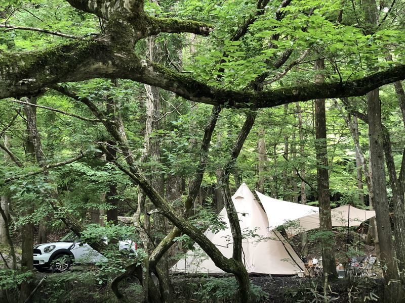 道志の森キャンプ場 サイト02