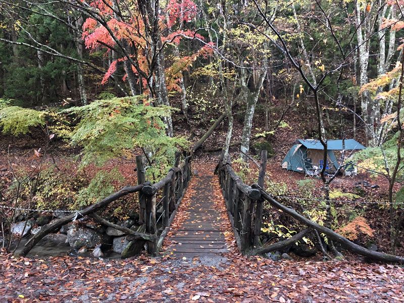 道志の森キャンプ場 離れサイトへの吊り橋と紅葉